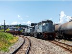 VLI 8431